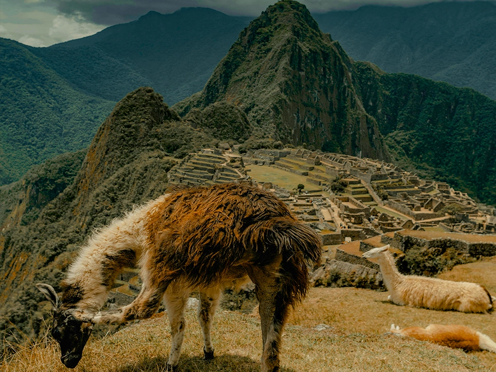 Machupicchu - Cusco Cultural