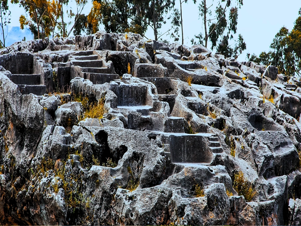 Programa Nacional Qenqo